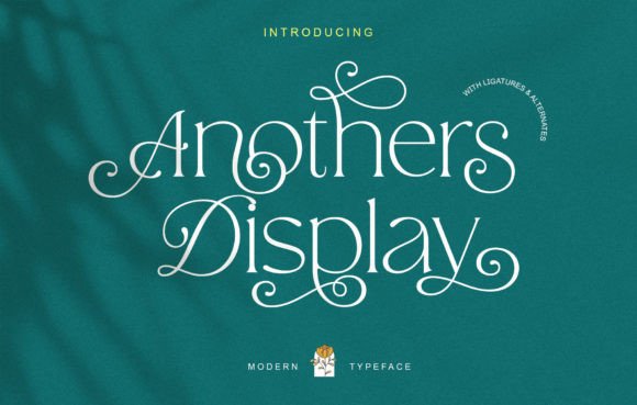 Anothers Display: A Font That Speaks Volumes