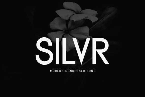 Silvr: A Modern Sans Serif Font